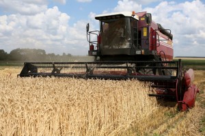 Аграрии Омской области перешагнули экватор по уборке зерновых культур